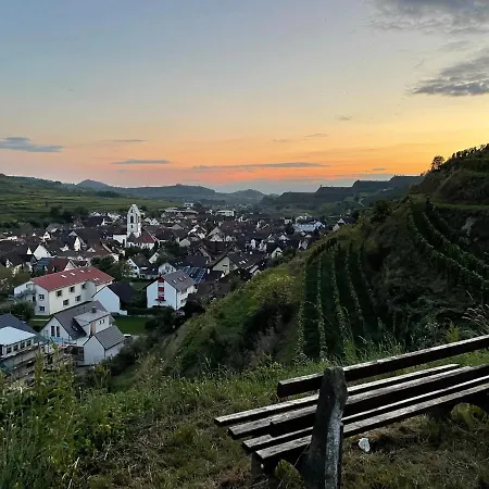 Ferienwohnung Weingut&Straußwirtschaft Vogel Vogtsburg Exterior foto