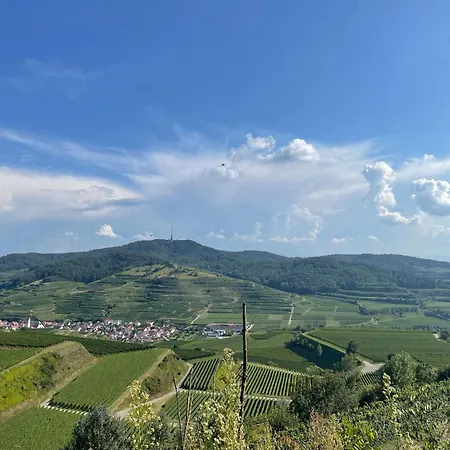 Ferienwohnung Weingut&Straußwirtschaft Vogel Vogtsburg Exterior foto