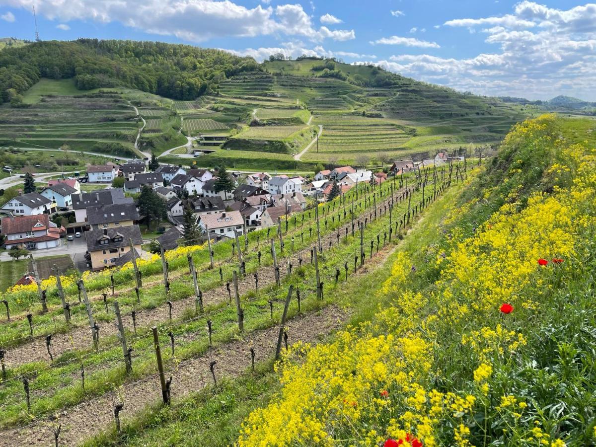 Weingut&straußwirtschaft Vogel Apartment