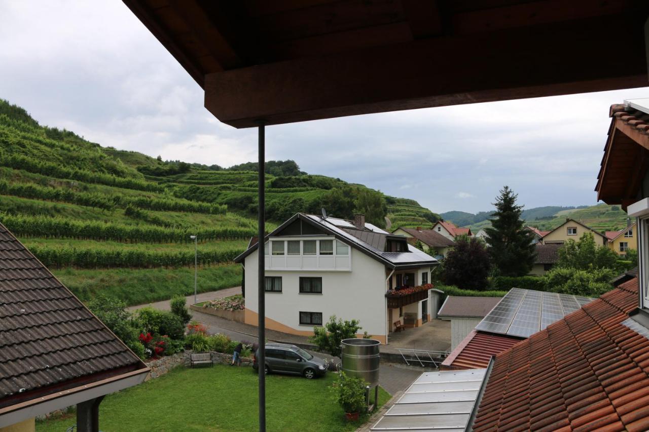 Weingut&straußwirtschaft Vogel Vogtsburg