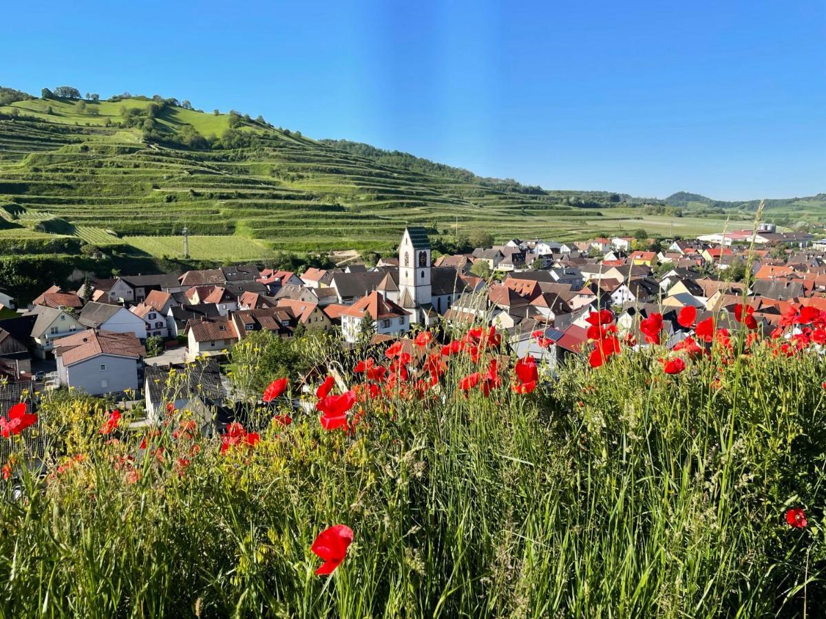 Apartment Weingut&straußwirtschaft Vogel Vogtsburg