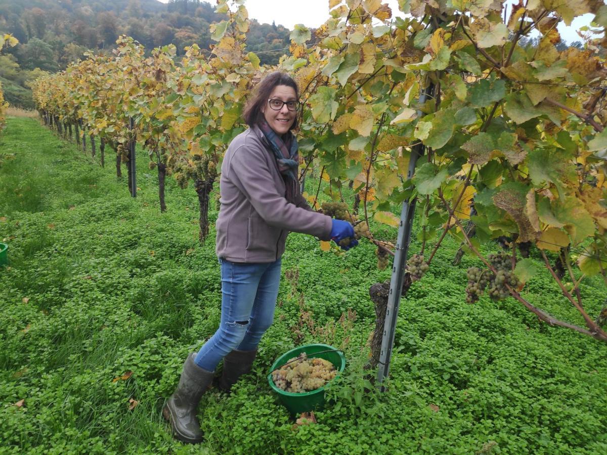 Weingut&straußwirtschaft Vogel