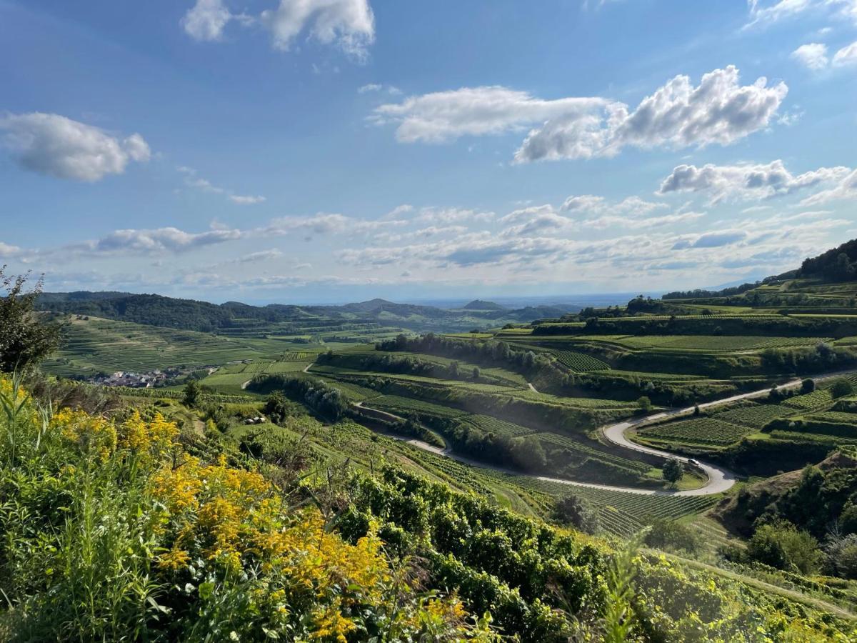 Weingut&straußwirtschaft Vogel Vogtsburg
