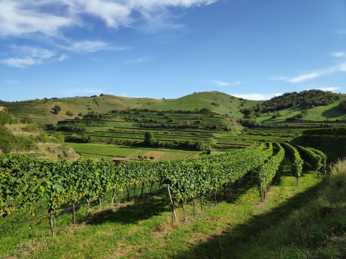 Weingut&straußwirtschaft Vogel