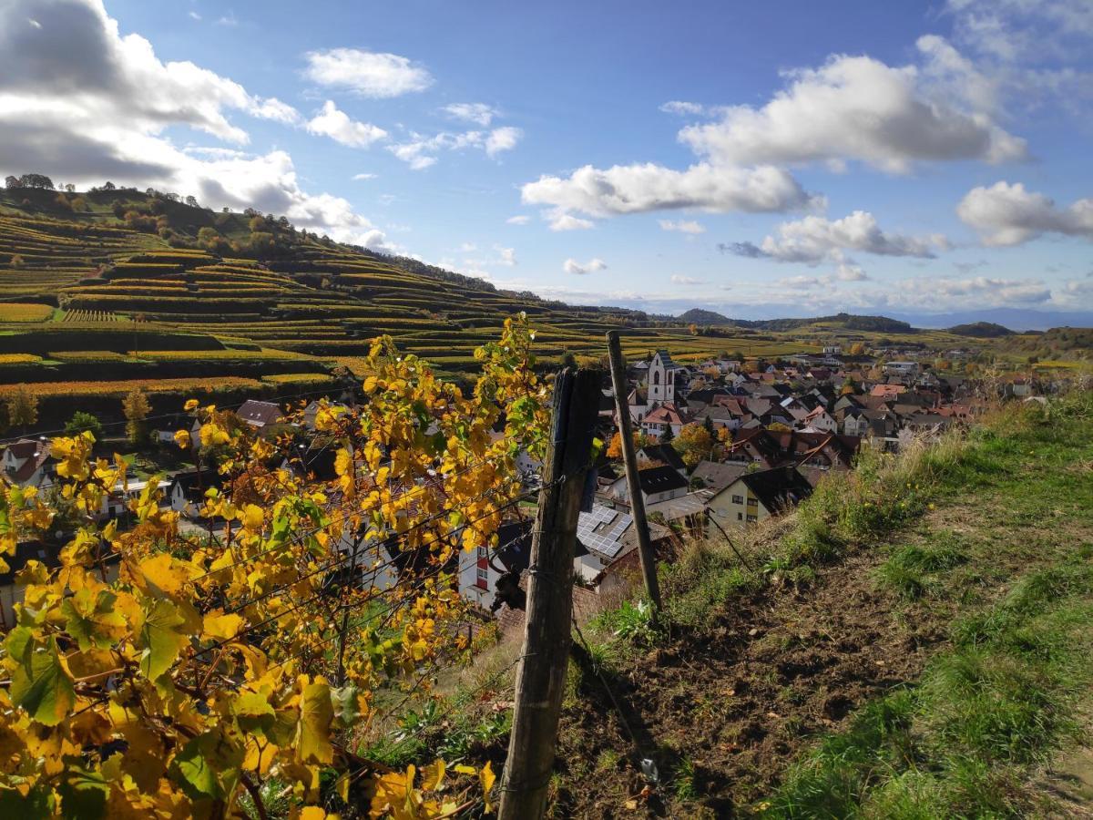 Weingut&straußwirtschaft Vogel * Vogtsburg