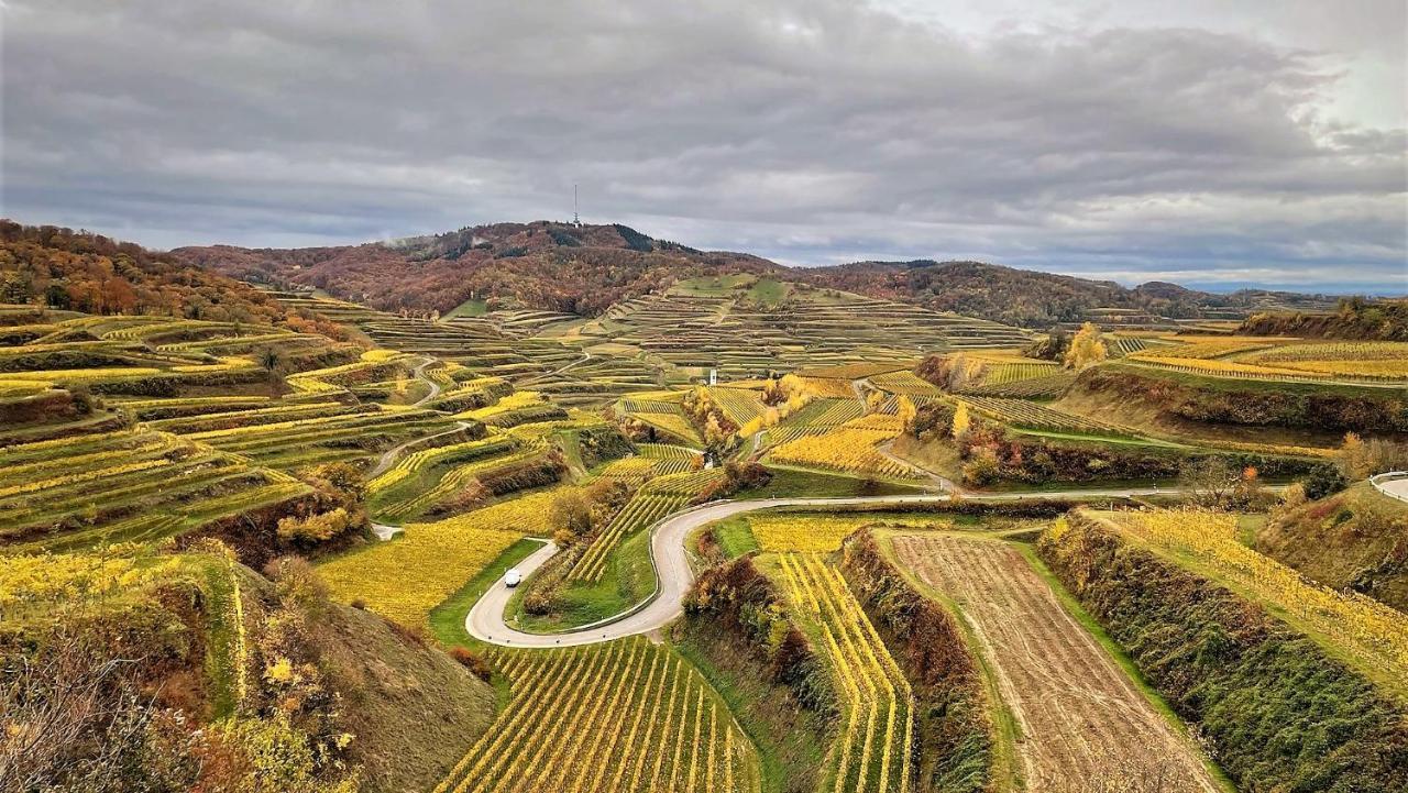 Weingut&straußwirtschaft Vogel
