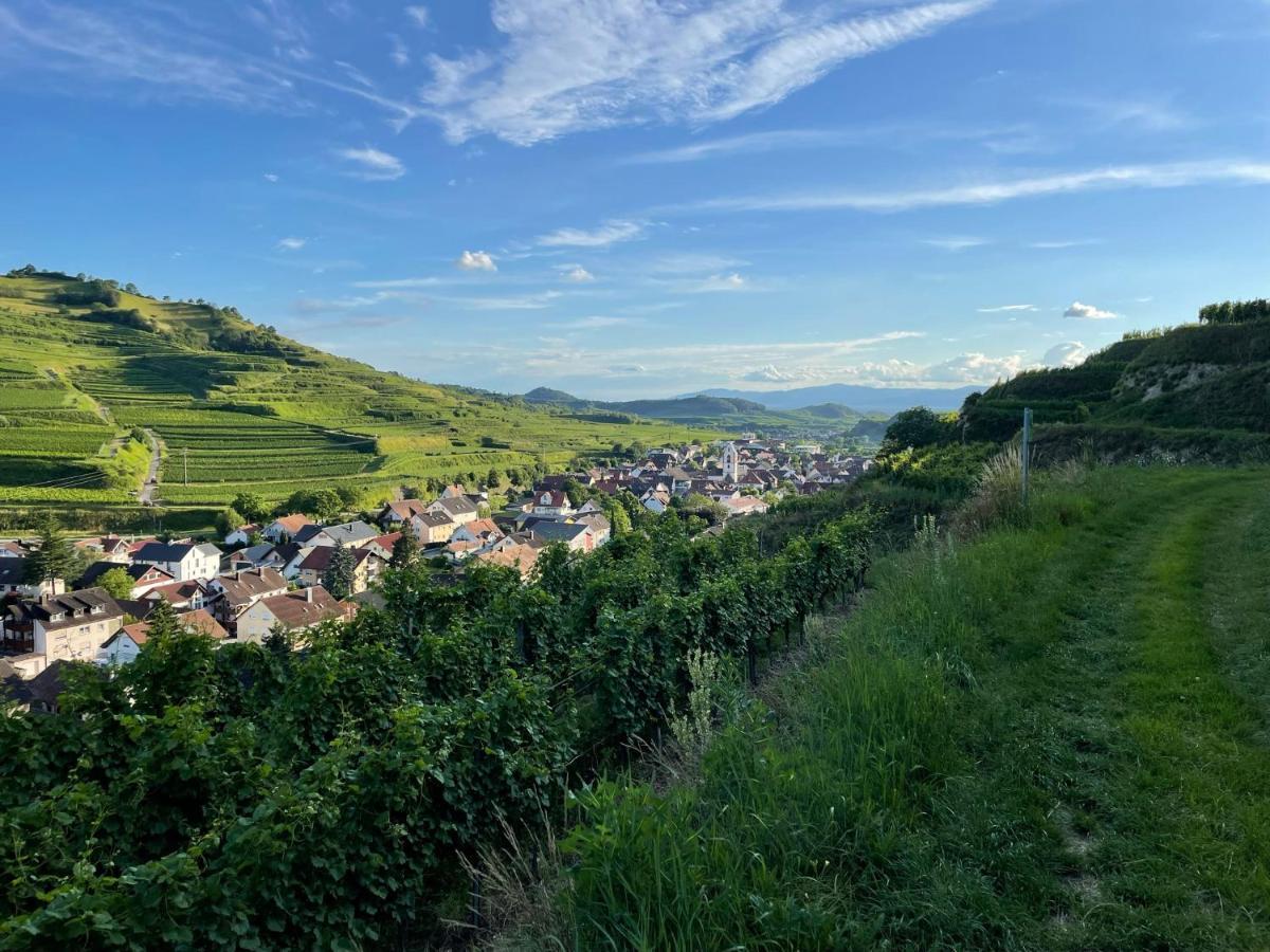 Apartment Weingut&straußwirtschaft Vogel