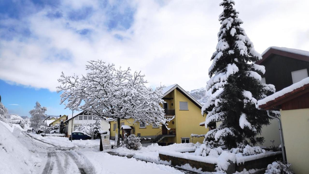 Weingut&straußwirtschaft Vogel Apartment