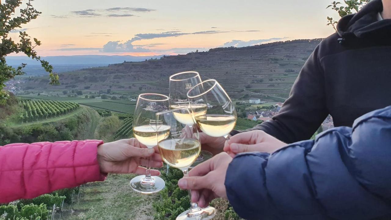 Apartment Weingut&straußwirtschaft Vogel Vogtsburg