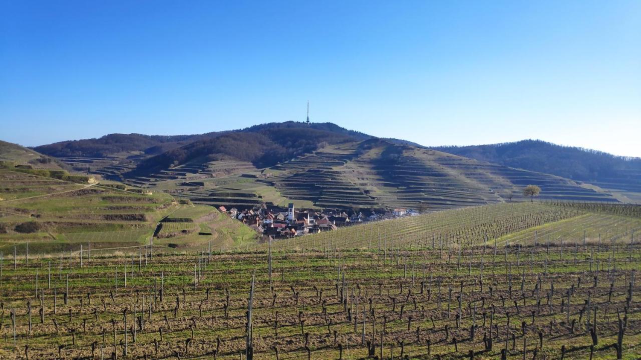 Weingut&straußwirtschaft Vogel Apartment *