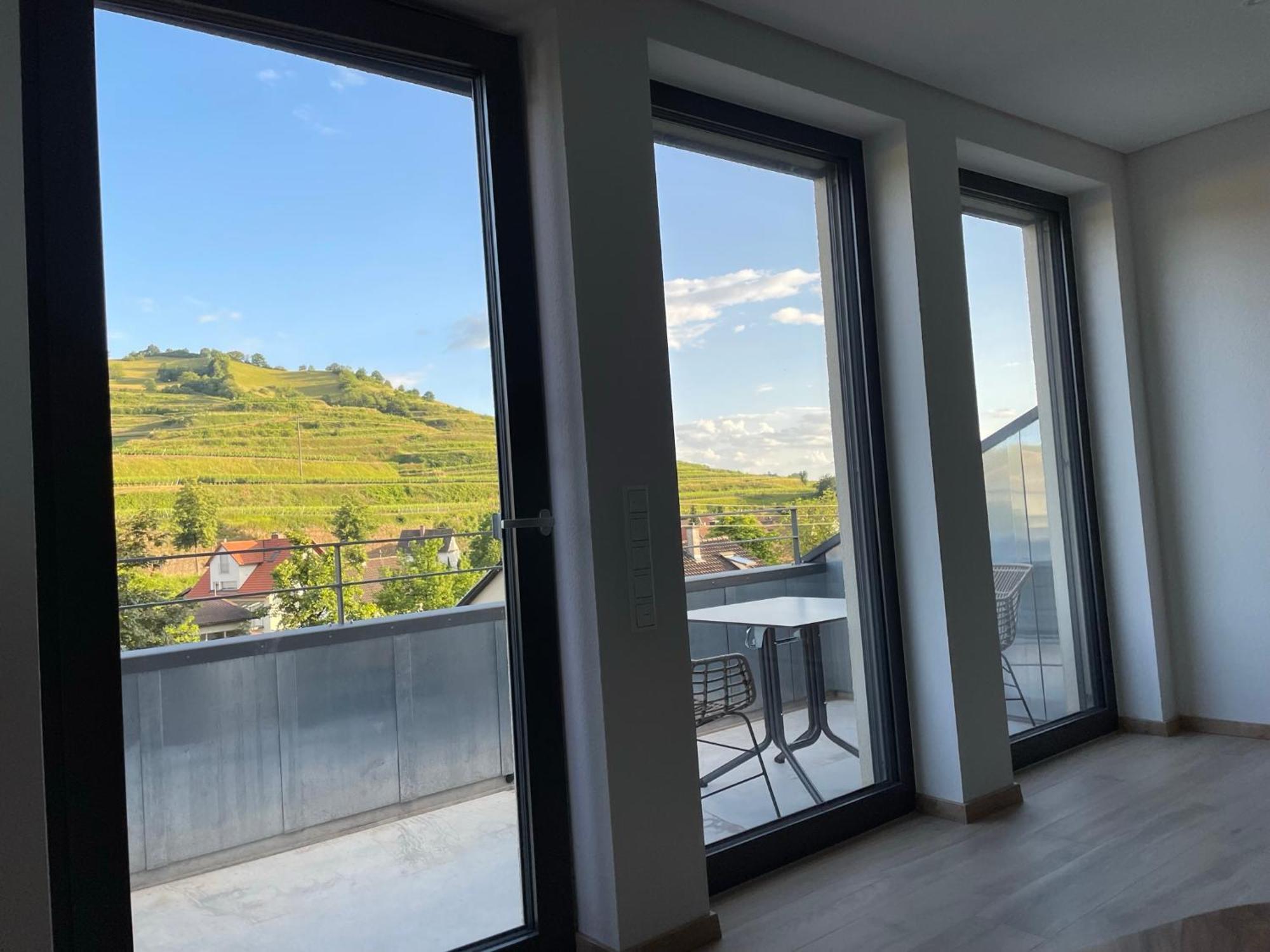 Weingut&straußwirtschaft Vogel Apartment Vogtsburg