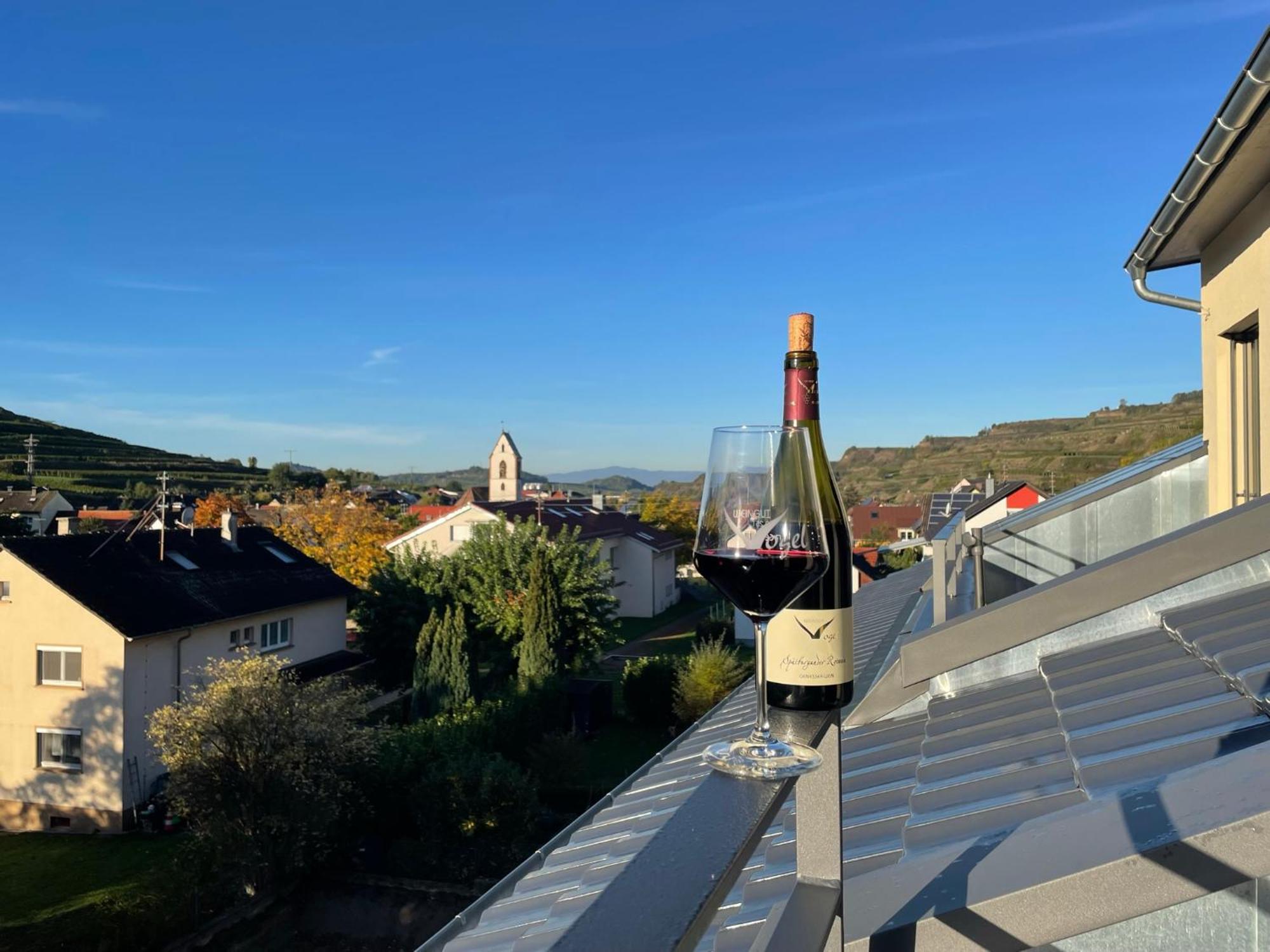 Apartment Weingut&straußwirtschaft Vogel Vogtsburg