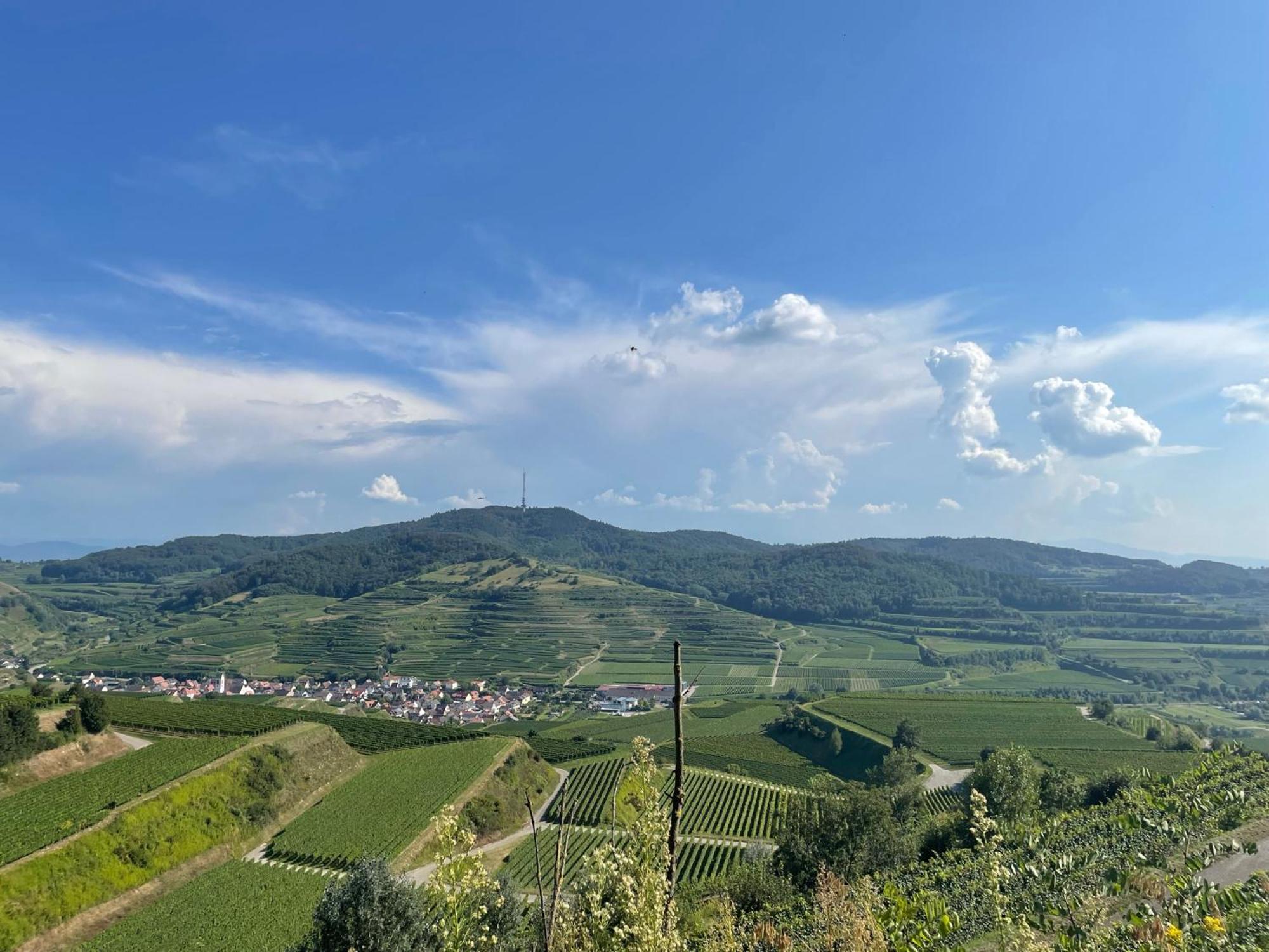 Apartment Weingut&straußwirtschaft Vogel